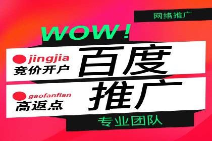 百度SEO推广策略全解析：某企业从零到一的成长历程